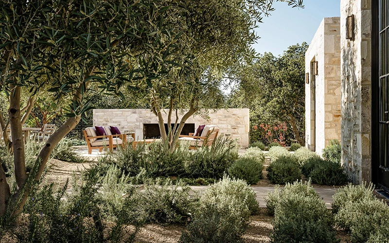 Mediterranean Courtyard with Olive Trees