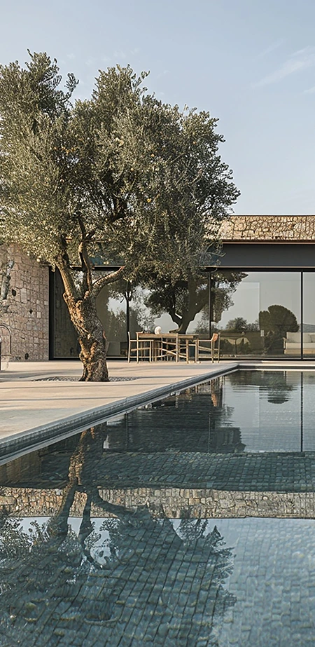 Modern Villa Patio with Olive Tree